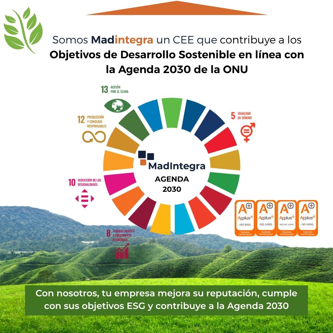 Responsabilidad Social y Agenda 2030 en Madintegra